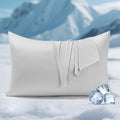 Elegear Silver Infused Cooling Pillow Cases Set of 2 by Elegear