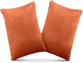 1 MIDDLE ONE 2 Pack Small Pillow, Memory Foam Mini Pillow 11 X 7 Inches by 1MIDDLEONE