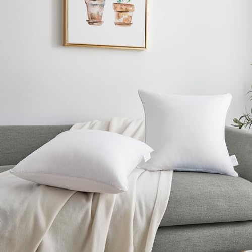 Oubonun 20"x20" Pillow Inserts - Image 6