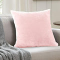 EVOLIVE Micromink Euro Sham Cover 26"x26", Hidden Zipper, 1 Pack by EVOLIVE