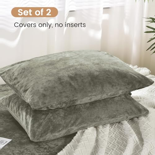 PHF Truly Velvet Pillowcases King Size 20" x 36", No Insert - Image 3