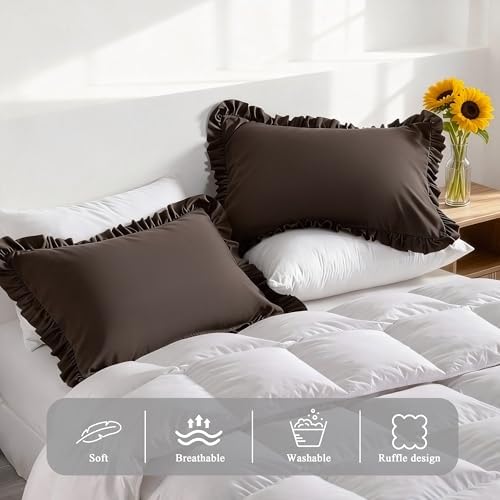 Ruffled Queen Pillow Shams, 2 Pack, 20x30 Inches, Dark Brown - Image 4