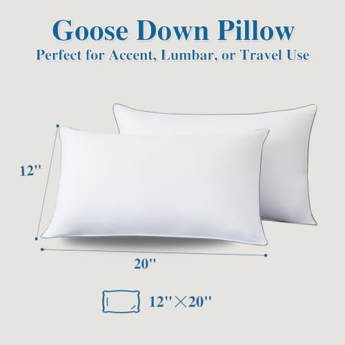 Goose Down Fiber Throw Pillow Insert Set of 2 - Image 4