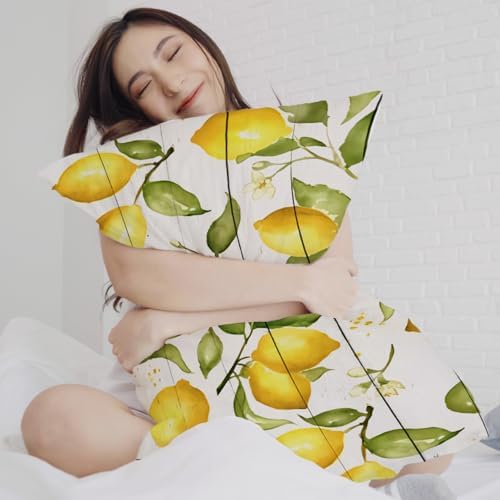 Spring Summer Yellow Lemon Pillow Cover 12x20, Lemon Home Decor, Farmhouse - Image 5