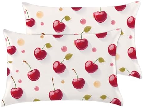 Microfiber Pillowcase 2PCS Set by GABraden