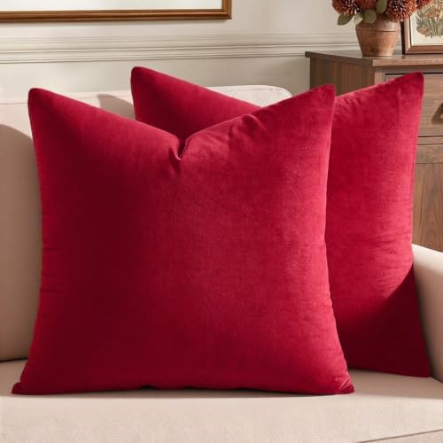 MIULEE 24x24 Inch Pack of 2 Euro Velvet Throw Pillow Covers Red by MIULEE