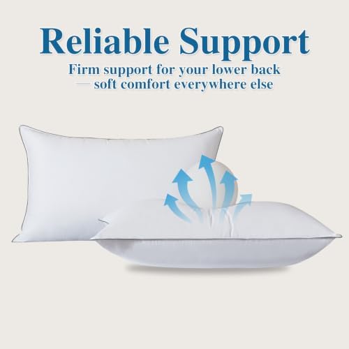 Goose Down Fiber Throw Pillow Insert Set of 2 - Image 2