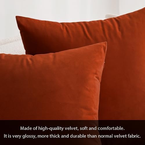 MIULEE 12x20 Inch Lumbar Fall Velvet Pillow Cover Set of 1 Burnt Orange - Image 2