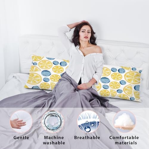 Blueberry and Lemon Body Pillow Pillowcase - Image 4