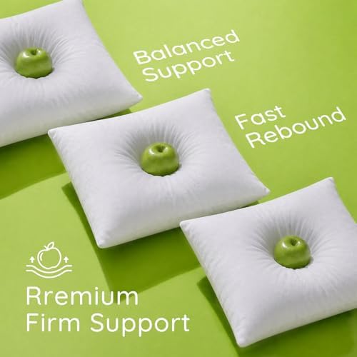 Ashler 18x18 Pillow Inserts - Image 4