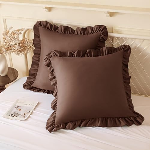 KKJIAF 2 Pack Ruffle Pillow Cases 22x22 Inches by KKJIAF