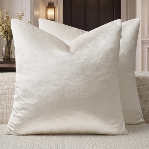 GIGIZAZA Velvet Pillow Covers 22x22 Decorative Pillows Pack of 2 Ivory by GIGIZAZAFocusingonhomedecoration