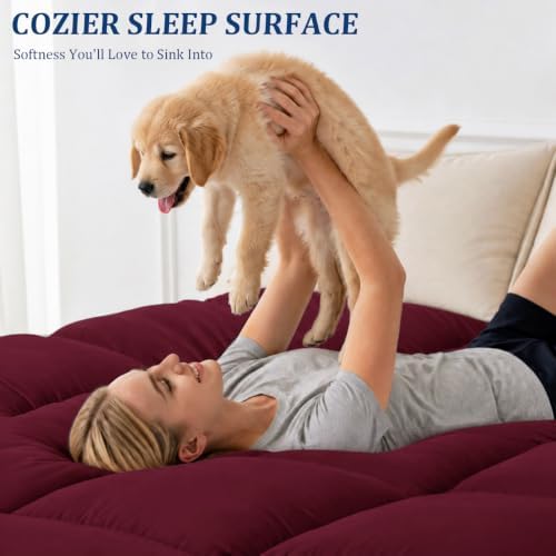 Queen Mattress Topper, 900 GSM High-Fill Design, Fuller & Plusher Feel - Image 4