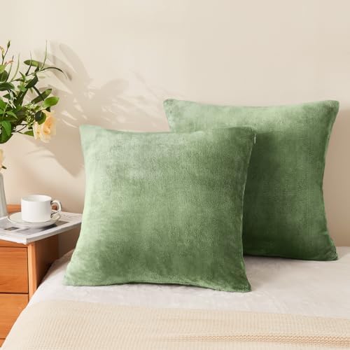 BEDELITE Velvet Pillow Covers - Image 2