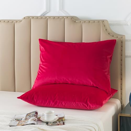 H HOUSEHOLD Set of 2 Velvet Queen Size Pillowcase, Soft and Cozy Luxury Fuzzy - Image 2