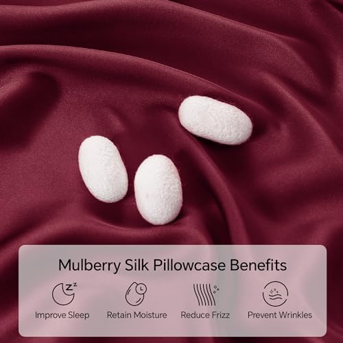 INFIIXSO Mulberry Silk Pillow Cases Queen Size - Image 2