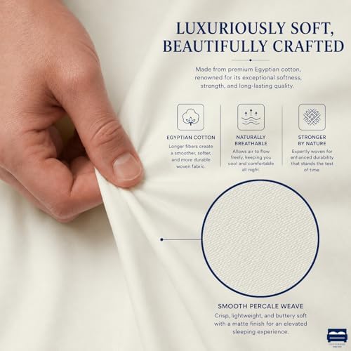 Cottingon 4 Piece Queen Sheets Fits 16" Deep, Egyptian Cotton - Image 6