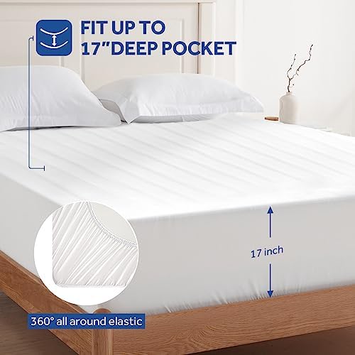 Sealy Heated Mattress Pad Queen Size - Image 3