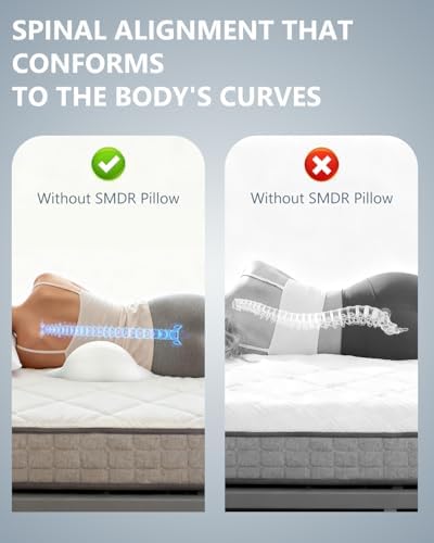 SMDR Ergonomic Lumbar Support Pillow, Dual-Wing Memory Foam Back Cushion - Image 5