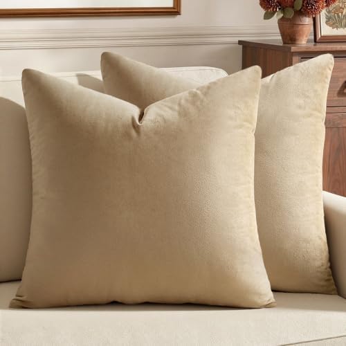 MIULEE 24x24 Inch Pack of 2 Euro Velvet Throw Pillow Covers Beige by MIULEE