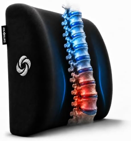 Samsonite Lumbar Support Pillow by Unknown