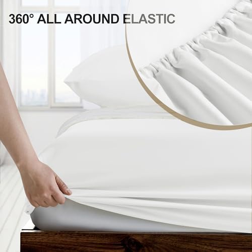 FreshCulture Twin Fitted Sheet - Image 3