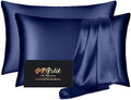 Silk Pillowcase 2 Pack, Mulberry Silk Pillow Cases Queen Size Set of 2 by HOME