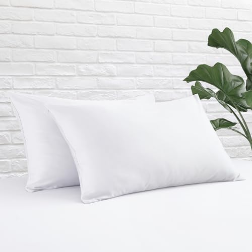 Queen Size Pillow Protector Set of 2, 100% Egyptian Cotton Pillow Cases by ZaizaiHome