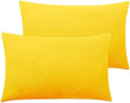 NTBAY Queen Velvet Pillowcases by NTBAY