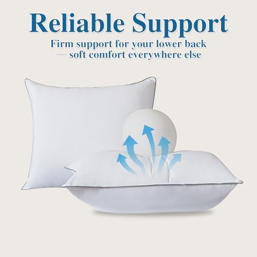 Goose Down Fiber Throw Pillow Insert Set of 2 - Image 3