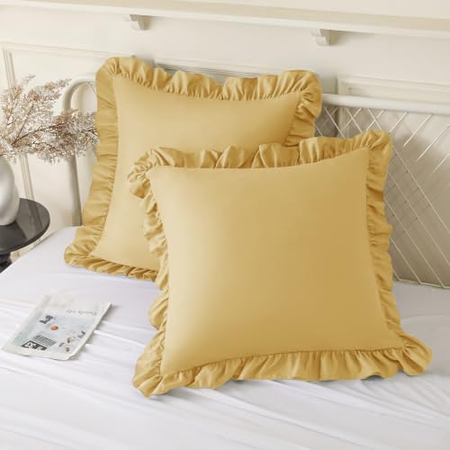KKJIAF 2 Pack Ruffle Pillow Cases 24x24 Inches by KKJIAF