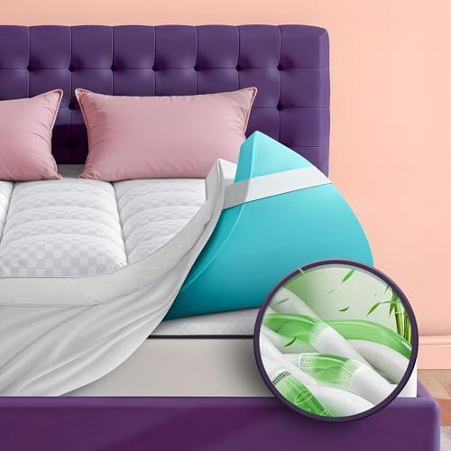Dual Layer 4 Inch Memory Foam Mattress Topper by Biteany