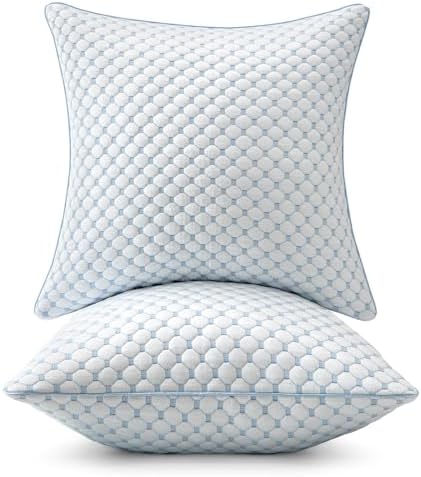 MIULEE 24x24 Decorative Pillow Inserts Set of 2 Memory Foam Filling by MIULEE