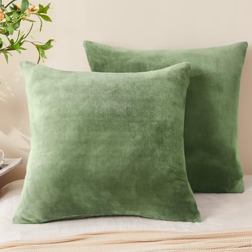 BEDELITE Velvet Pillow Covers by BEDELITE