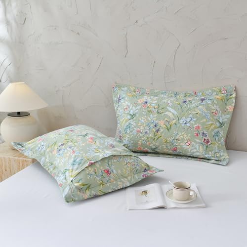 Lady Ann Cotton Quilted Pillow Shams 20x30, Bird Butterfly & Green Floral - Image 6