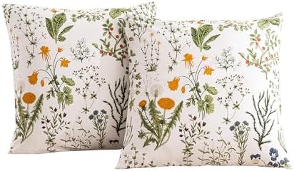 ECOCOTT 2 Pack Pillowcase Euro Size by ECOCOTT