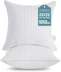 Oubonun 22 x 22 Throw Pillow Inserts Set of 2 by Oubonun