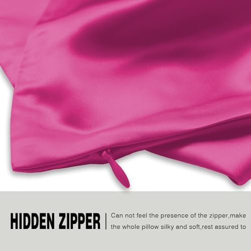 Mulberry Silk Pillow Cases 2 Pack Soft Breathable and Sliky King Size Pillow - Image 4