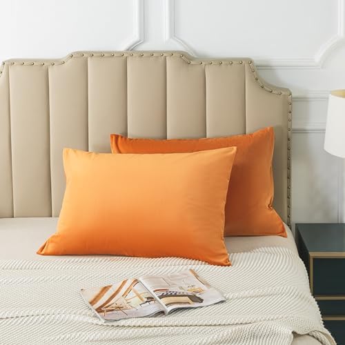 H HOUSEHOLD Set of 2 Velvet Queen Size Pillowcase, Soft and Cozy Luxury Fuzzy - Image 6