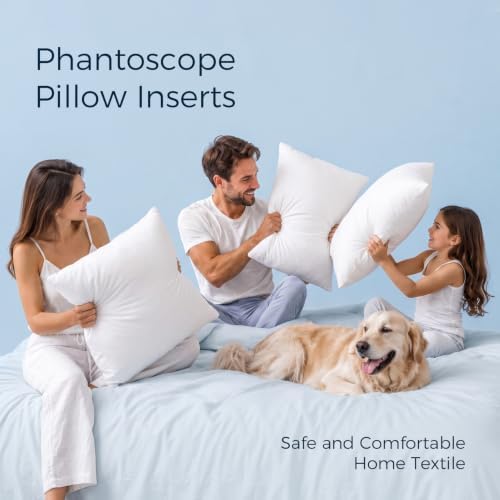 Phantoscope 26x26 Pillow Insert, Soft Lumbar Support Pillow - Image 2