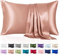 Silk Like Satin Pillowcase Queen Size, Champagne Gold, 2 Pack, 20x30 Inches by VCUSUELER