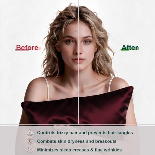 LYSHIN Silk Pillow Cases 2 Pack Queen Size - Image 4