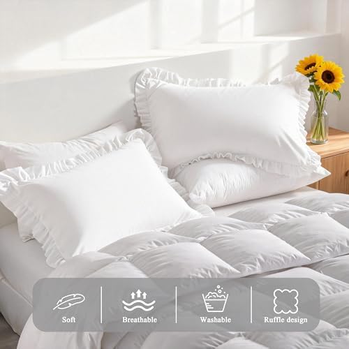 Ruffled Standard Pillow Shams, 2 Pack, 20x26 Inches - Image 4