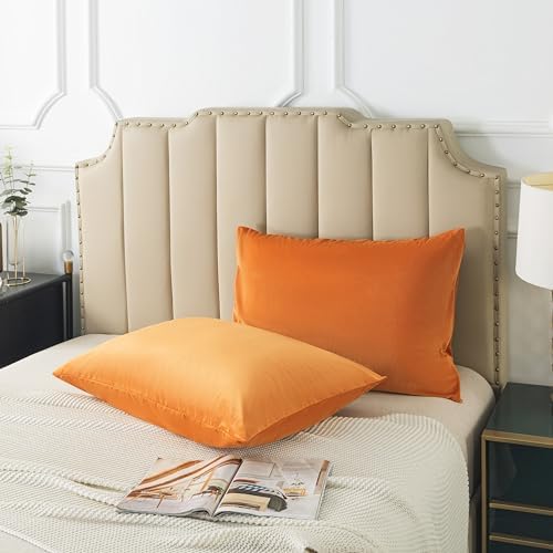 H HOUSEHOLD Set of 2 Velvet Queen Size Pillowcase, Soft and Cozy Luxury Fuzzy by HHOUSEHOLD