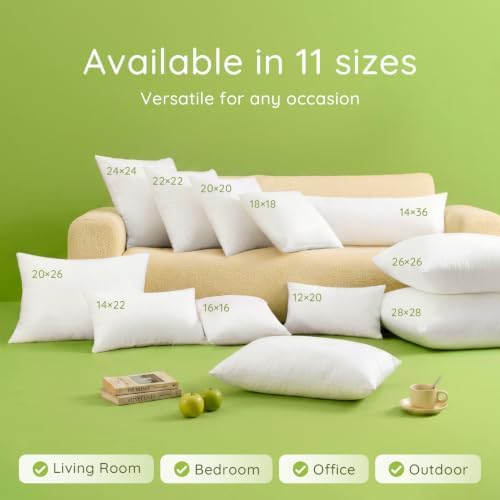 Ashler 28x28 Pillow Inserts, Decorative Throw Pillows - Image 5