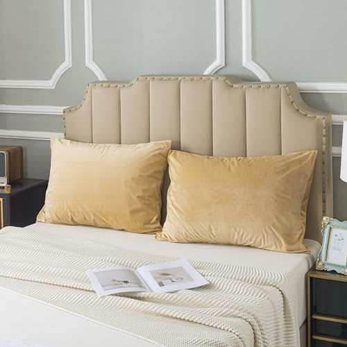 H HOUSEHOLD Set of 2 Velvet King Size Pillowcase, Soft and Cozy Luxury Fuzzy by HHOUSEHOLD