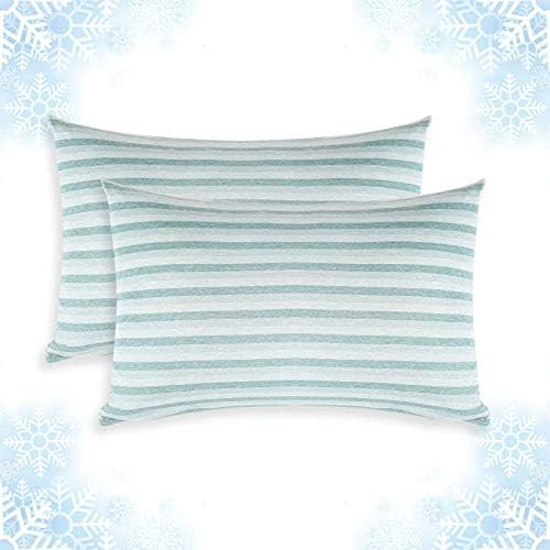 Cooling Pillow Cases Only, Standard Size Set of 2 by AilemeiDirect