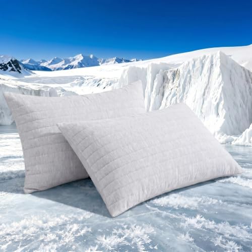 Swift Home Cooling Pillow Cases Standard Size Set of 2 by SWIFTHOME
