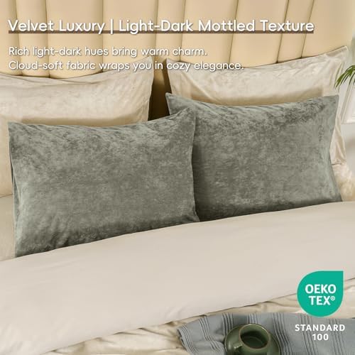 PHF Truly Velvet Pillowcases Standard Size 20" x 26", No Insert - Image 2