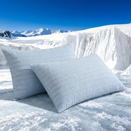 Swift Home Cooling Pillow Cases King Size Set of 2 by SWIFTHOME